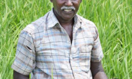 Did we really need to make our own food?