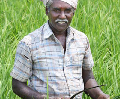 Read more about the article Did we really need to make our own food?